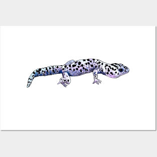 gecko Posters and Art